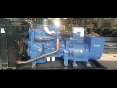 Assemblaggio del generatore Yuchai